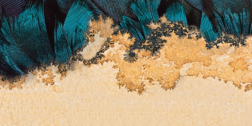 image article