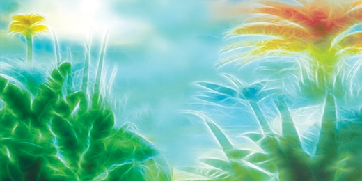 image article