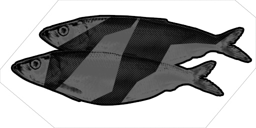 image article