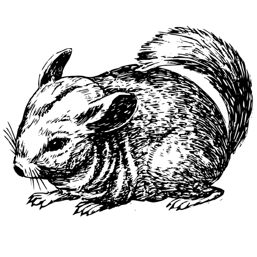 image article
